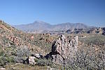 photo thumbnail #10