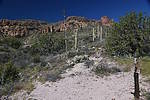 photo thumbnail #15