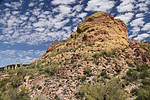 photo thumbnail #12
