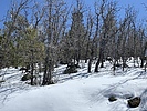 photo thumbnail #12
