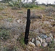 photo thumbnail #5