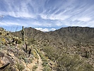 photo thumbnail #10