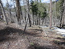 photo thumbnail #6
