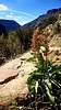 photo thumbnail #14