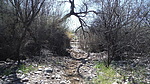 photo thumbnail #4