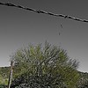 photo thumbnail #13