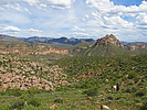2019-03-20 :1: The Rincon - White Canyon Wilderness :: Grasshopper
