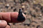 photo thumbnail #5