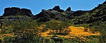 photo thumbnail #10