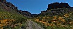 photo thumbnail #11