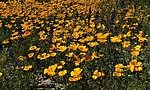 photo thumbnail #15