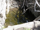 Featured Detail Photo