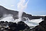 photo thumbnail #15