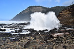 photo thumbnail #14