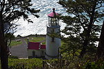 photo thumbnail #10
