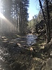 photo thumbnail #2