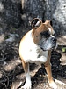 photo thumbnail #5