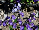 photo thumbnail #14