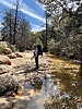 photo thumbnail #8
