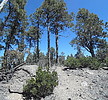 photo thumbnail #7