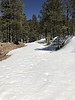 photo thumbnail #8