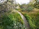 photo thumbnail #15