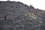 photo thumbnail #13