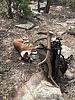 photo thumbnail #1