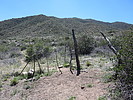 photo thumbnail #12