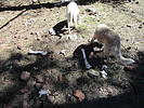photo thumbnail #12