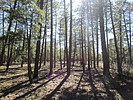 photo thumbnail #13