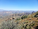 photo thumbnail #8