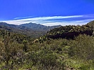 photo thumbnail #4