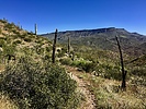 photo thumbnail #5