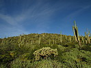 photo thumbnail #7
