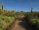photo thumbnail #8