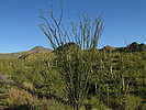 photo thumbnail #9