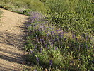 photo thumbnail #11