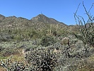 photo thumbnail #1