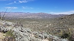 recent photo