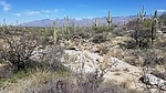 photo thumbnail #8