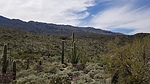 photo thumbnail #9