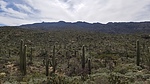 photo thumbnail #10
