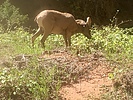 photo thumbnail #4