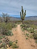 photo thumbnail #8