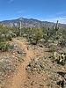 photo thumbnail #12