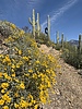 photo thumbnail #13