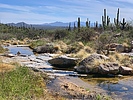 photo thumbnail #14
