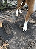 photo thumbnail #2