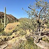 photo thumbnail #1